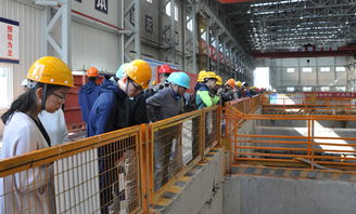 本會(huì)成功舉辦上海市建設(shè)工程2017年度綠色施工主題觀摩會(huì)